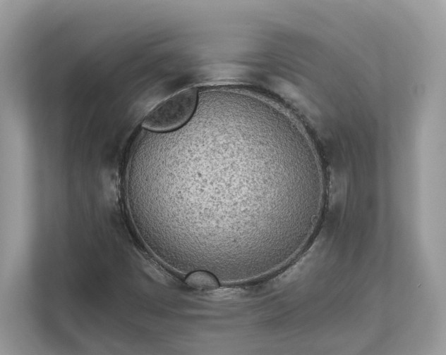 X0000111871449200907301106