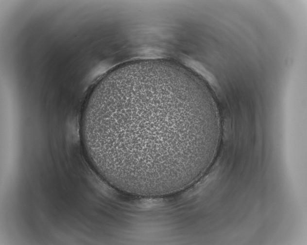 X0000111871451200907301106