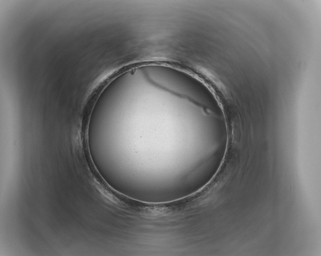 X0000111871452200907301106