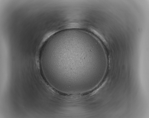X0000111871453200907301106