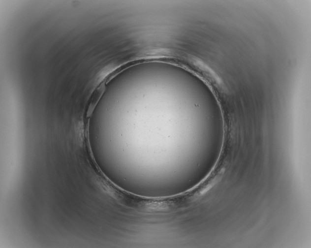 X0000111871457200907301106