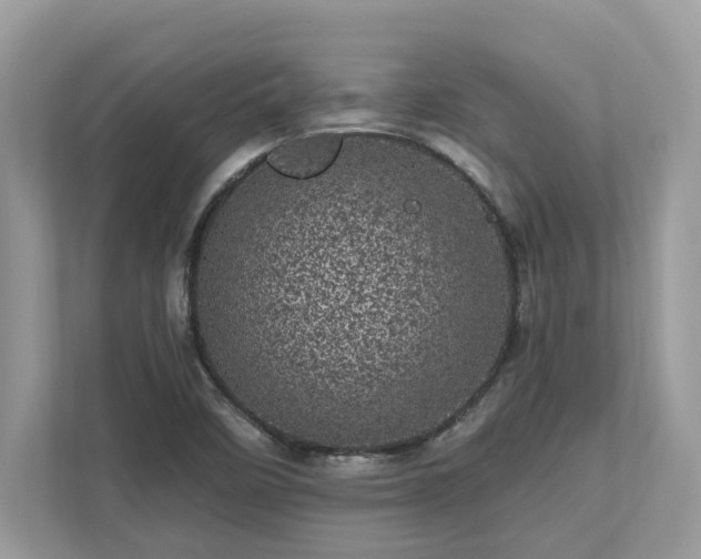 X0000111871458200907301106