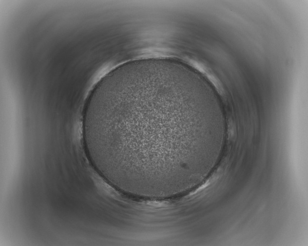 X0000111871459200907301106