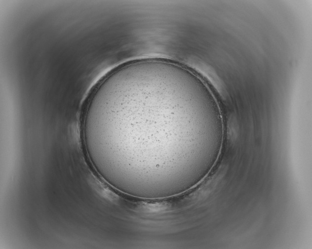 X0000111871460200907301106