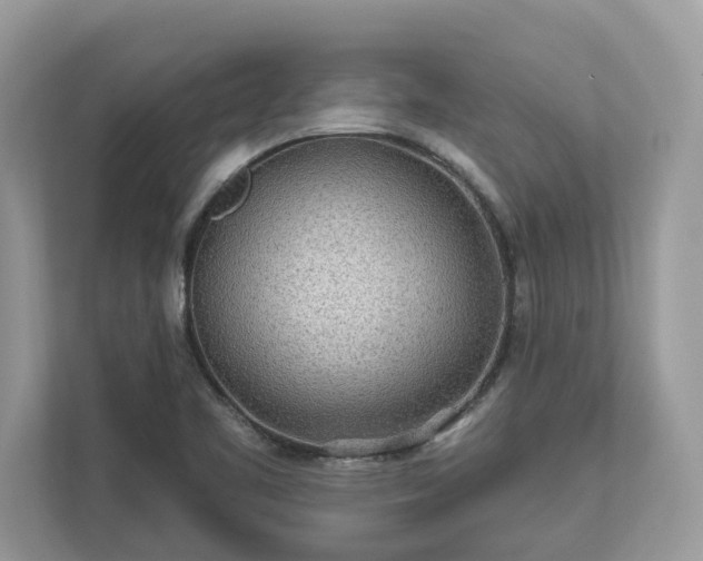 X0000111871461200907301106