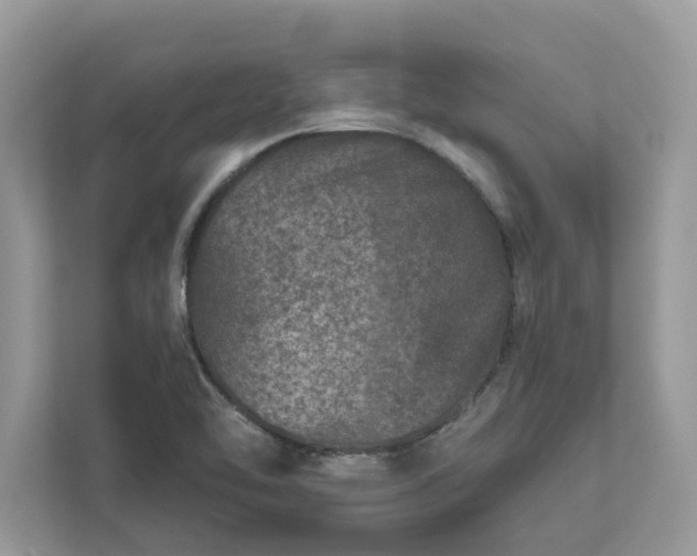 X0000111871462200907301106