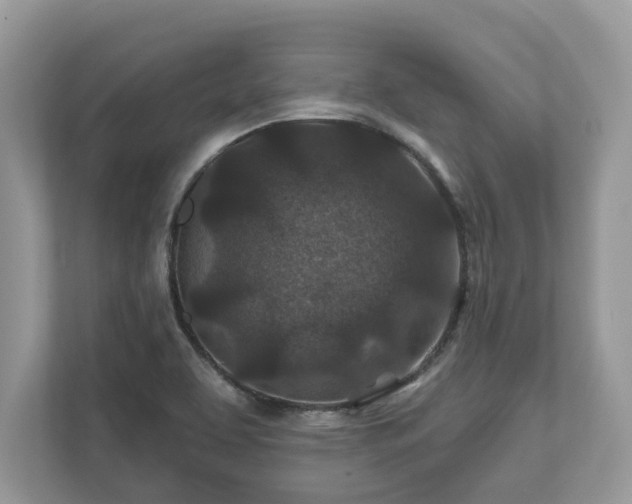 X0000111871463200907301106