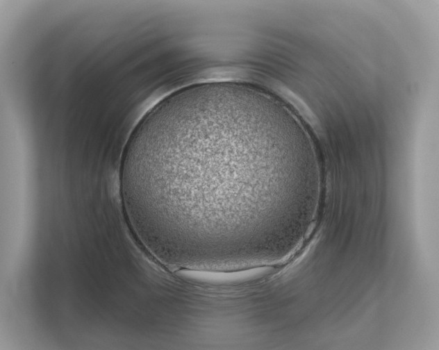 X0000111871465200907301106