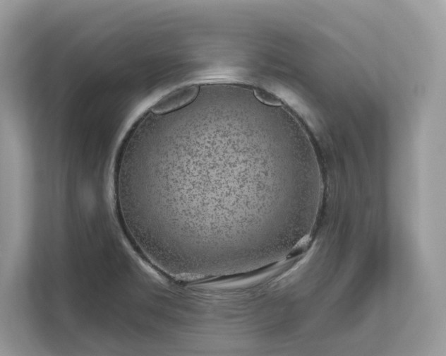 X0000111871469200907301106