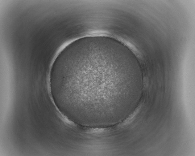 X0000111871470200907301106