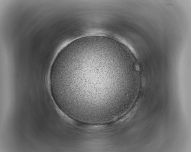 X0000111871471200907301106