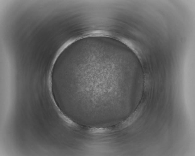 X0000111871474200907301106