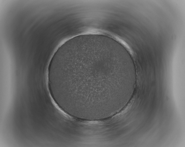 X0000111871479200907301106