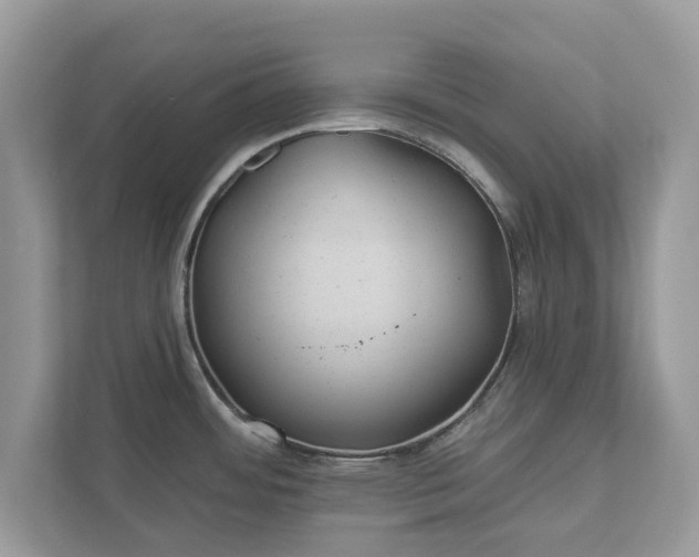 X0000111871484200907301106