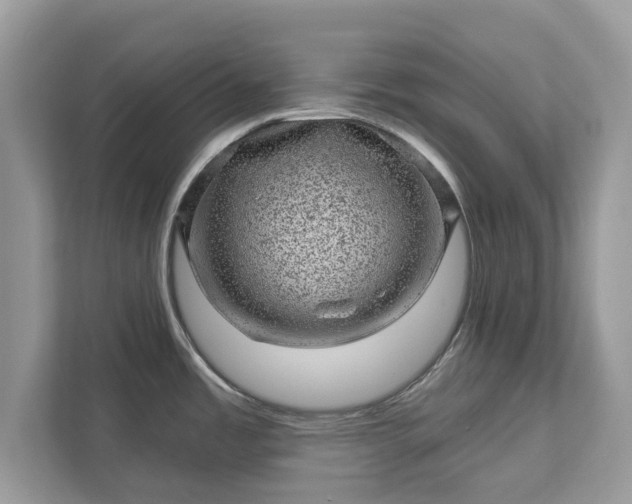 X0000111871485200907301106