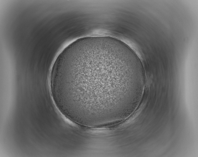 X0000111871486200907301106