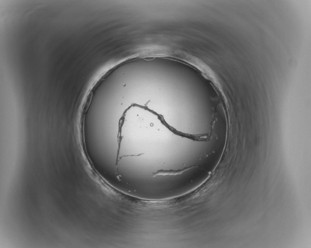 X0000111871488200907301106