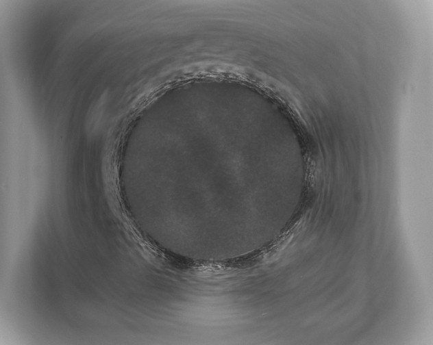 X0000111871489200907301105