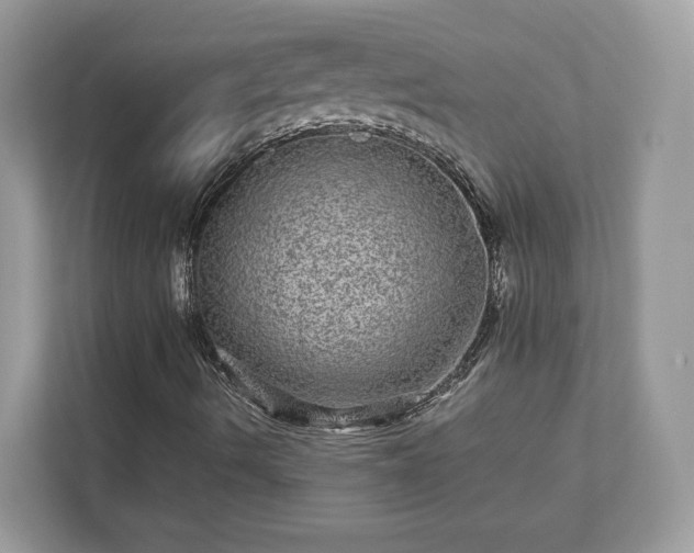 X0000111871490200907301105