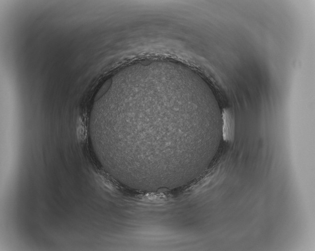 X0000111871491200907301105