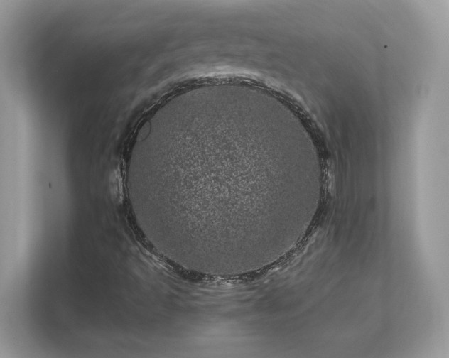 X0000111871493200907301105