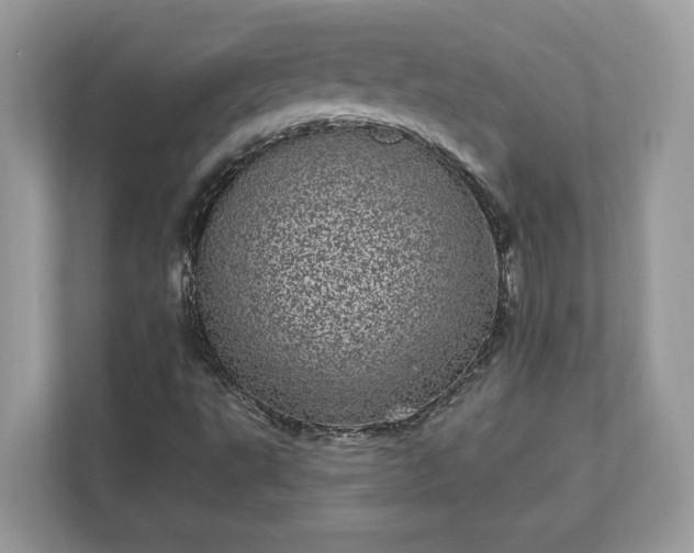 X0000111871495200907301105