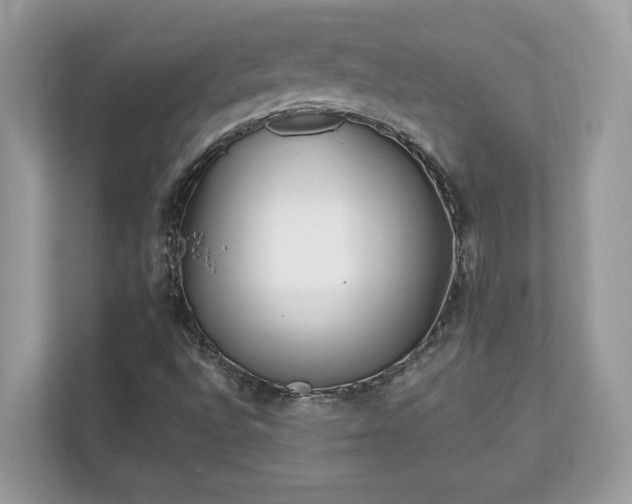 X0000111871496200907301105
