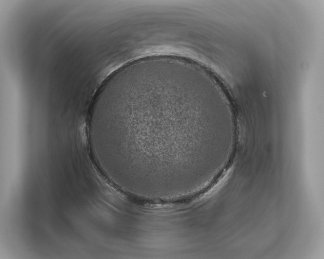 X0000111871497200907301105