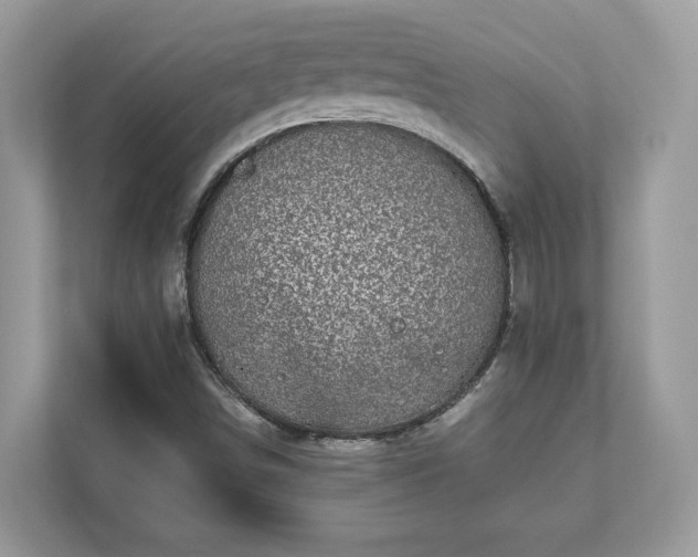 X0000111871498200907301105