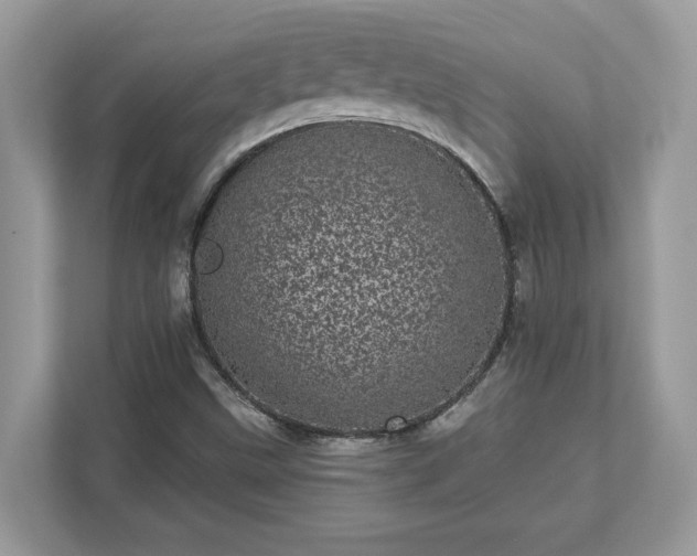 X0000111871499200907301105