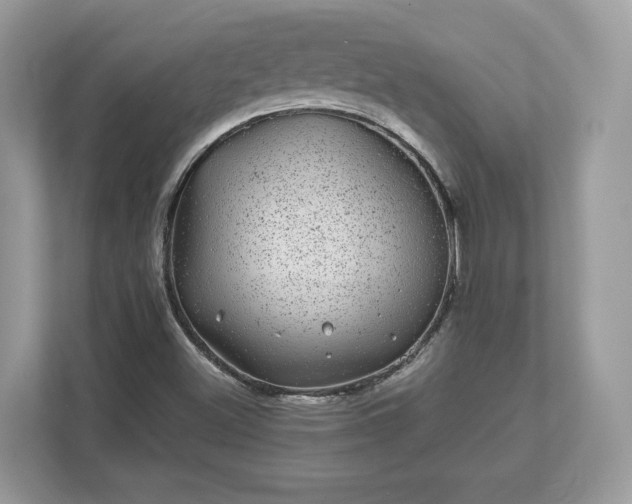 X0000111871500200907301105