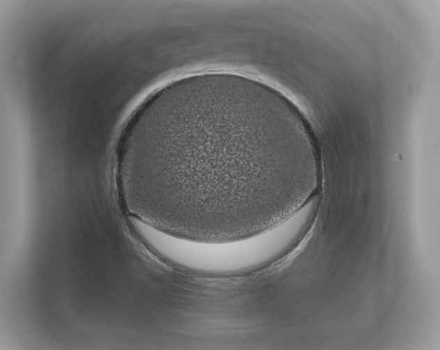 X0000111871502200907301105