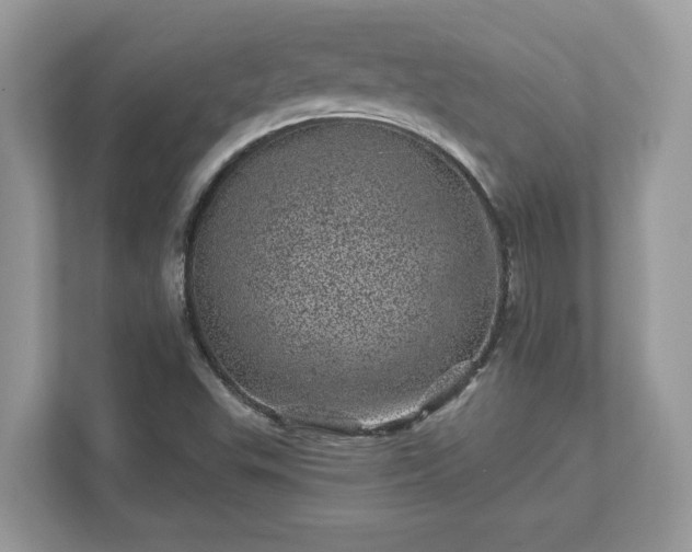 X0000111871503200907301105