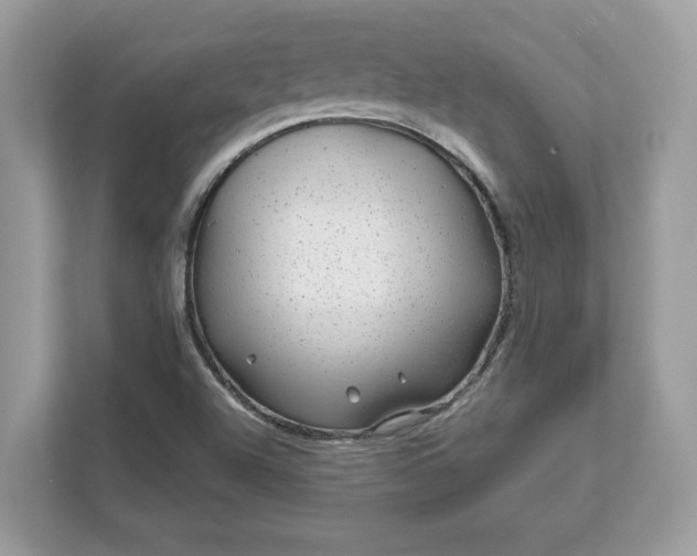X0000111871504200907301105