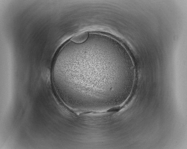 X0000111871505200907301105