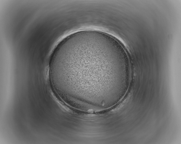 X0000111871507200907301105