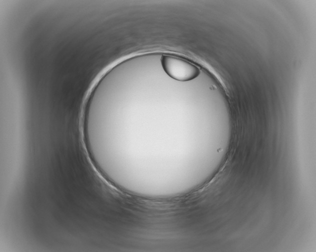 X0000111871508200907301105