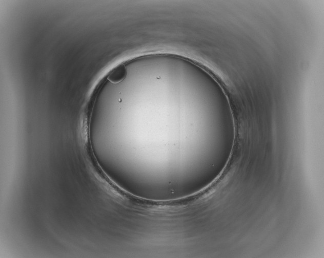 X0000111871510200907301105
