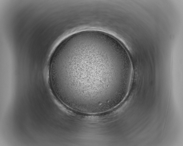 X0000111871511200907301105
