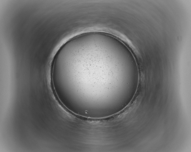 X0000111871512200907301105