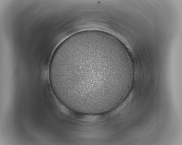 X0000111871513200907301105