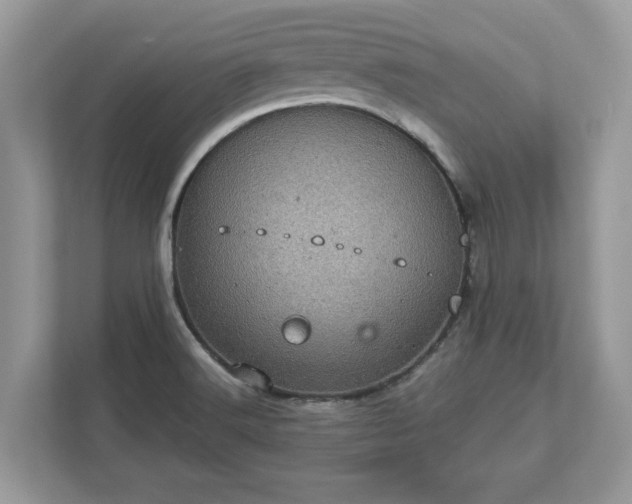 X0000111871516200907301105