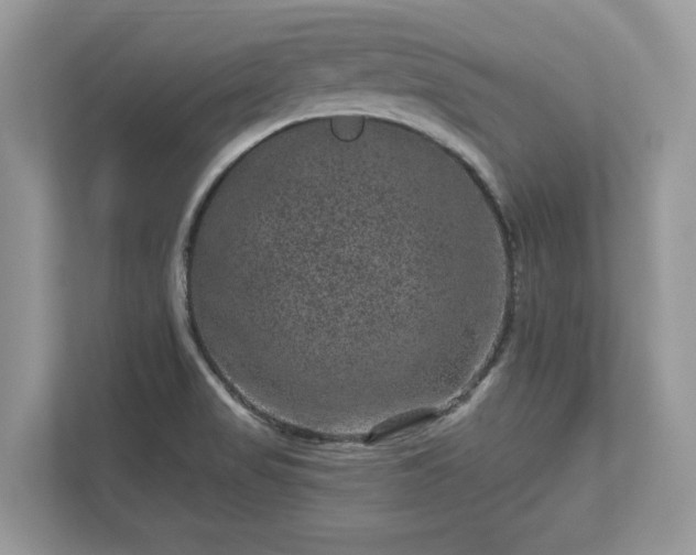 X0000111871517200907301105