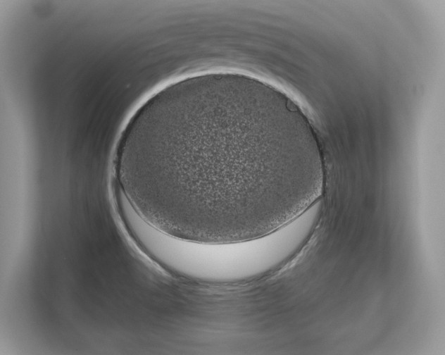 X0000111871518200907301105