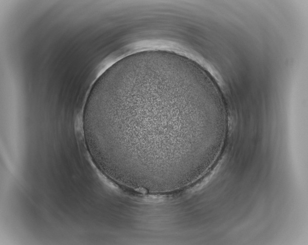X0000111871521200907301105