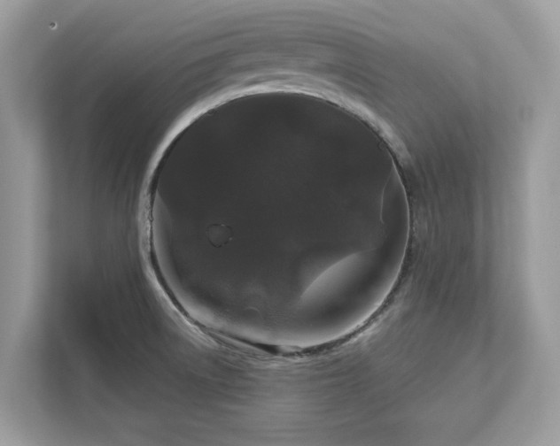 X0000111871522200907301106