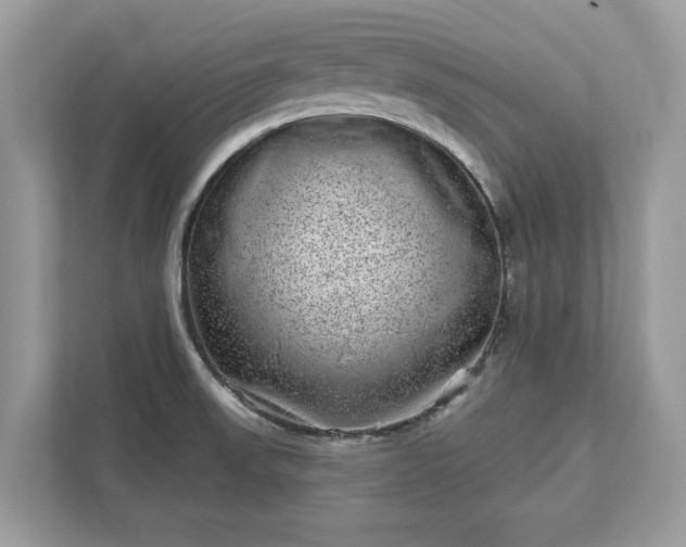 X0000111871523200907301106