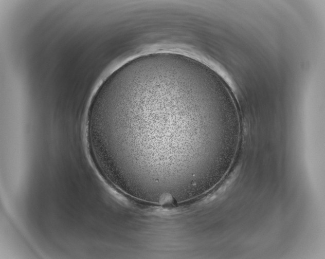 X0000111871525200907301106