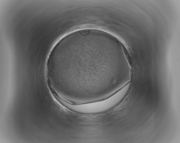 X0000111871527200907301106