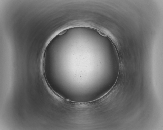 X0000111871528200907301106